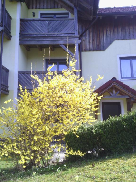 Apartments Grabler Altmünster Extérieur photo